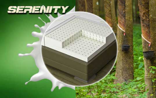 serenity Natural Latex